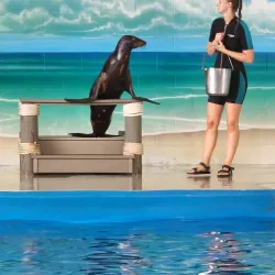 The Institute for Marine Mammal Studies - Gulfport