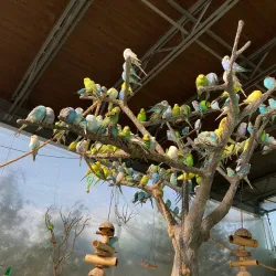 The Institute for Marine Mammal Studies - Gulfport