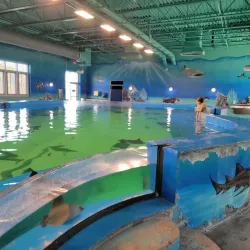 The Institute for Marine Mammal Studies - Gulfport