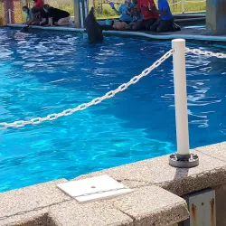 The Institute for Marine Mammal Studies - Gulfport