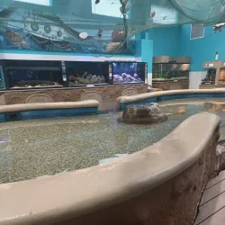 The Institute for Marine Mammal Studies - Gulfport