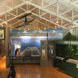 African American Military History Museum - Hattiesburg