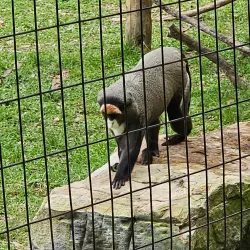 Hattiesburg Zoo - Hattiesburg