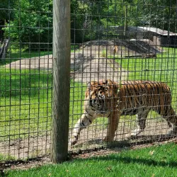 Hattiesburg Zoo - Hattiesburg