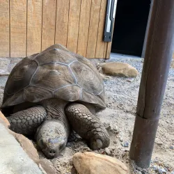 Hattiesburg Zoo - Hattiesburg