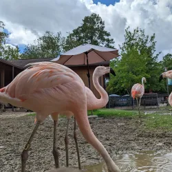 Hattiesburg Zoo - Hattiesburg