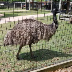 Hattiesburg Zoo - Hattiesburg