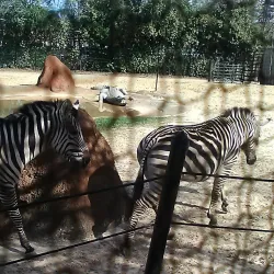 Hattiesburg Zoo - Hattiesburg