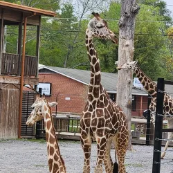 Kamper Park - Hattiesburg
