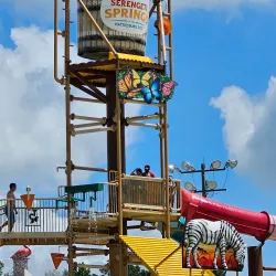 Kamper Park - Hattiesburg