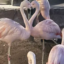 Kamper Park - Hattiesburg