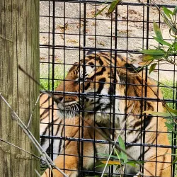 Kamper Park - Hattiesburg