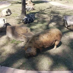 Kamper Park - Hattiesburg