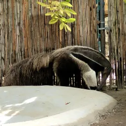 Kamper Park - Hattiesburg