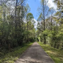 Longleaf Trace - Hattiesburg