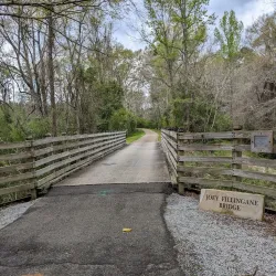 Longleaf Trace - Hattiesburg