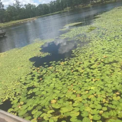 Paul B. Johnson State Park - Hattiesburg