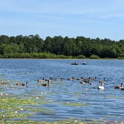 Paul B. Johnson State Park - Hattiesburg