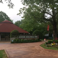 Jackson Zoo - Jackson