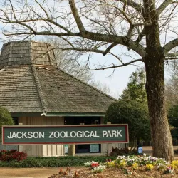 Jackson Zoo - Jackson