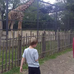 Jackson Zoo - Jackson