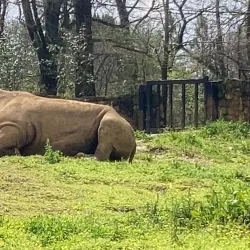 Jackson Zoo - Jackson