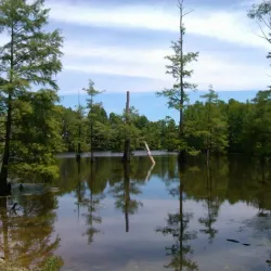 LeFleur's Bluff State Park - Jackson