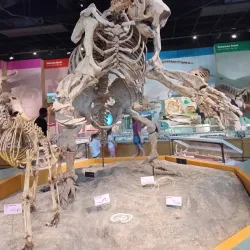 LeFleur's Bluff State Park - Jackson