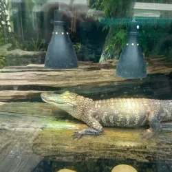 LeFleur's Bluff State Park - Jackson