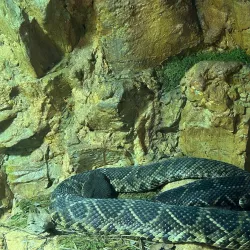 LeFleur's Bluff State Park - Jackson