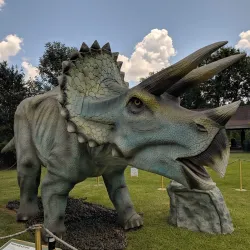 Mississippi Museum of Natural Science - Jackson