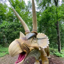 Mississippi Museum of Natural Science - Jackson