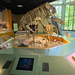 Mississippi Museum of Natural Science - Jackson