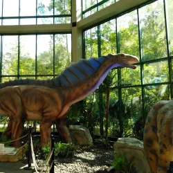 Mississippi Museum of Natural Science - Jackson