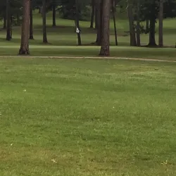 Laurel Country Club - Laurel