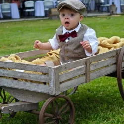 The Pillars of Laurel - Laurel