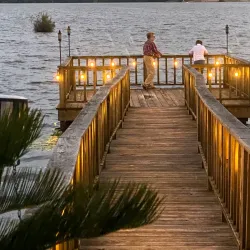 The Pillars of Laurel - Laurel