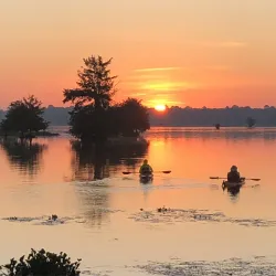 The Pillars of Laurel - Laurel
