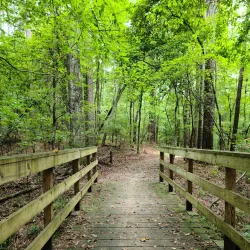 Bonita Lakes Golf Course - Meridian