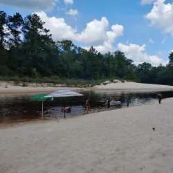 Escatawpa River - Moss Point