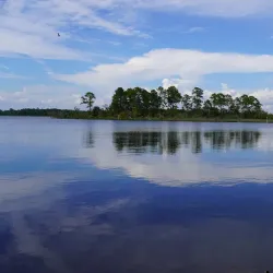 Moss Point City Park - Moss Point