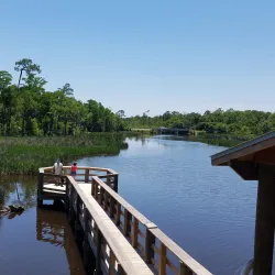 Pascagoula River Audubon Center - Moss Point