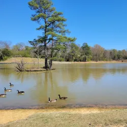 Olive Branch Community Center - Olive Branch