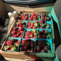 Oxford Community Market - Oxford