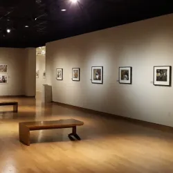 The University of Mississippi Museum - Oxford