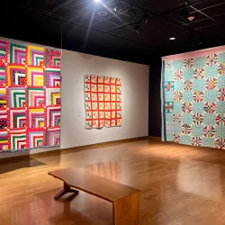 The University of Mississippi Museum - Oxford