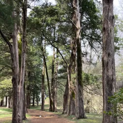William Faulkner's Rowan Oak - Oxford