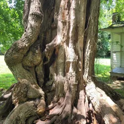 William Faulkner's Rowan Oak - Oxford