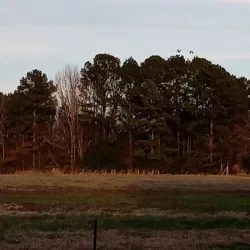 Pontotoc Historic District - Pontotoc