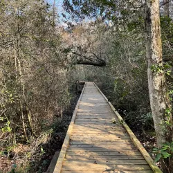 Bogue Chitto State Park - Poplarville